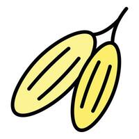 Ramadán fecha Fruta icono vector plano
