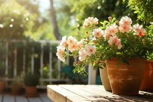 Flowering potted plants photo