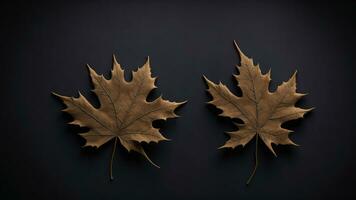 Autumn maple leaves on black background. Flat lay, top view. ai generated photo