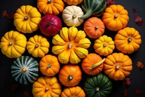 Colorful pumpkins arranged in a circle symbolize the autumn equinox a time of harvest and balance photo