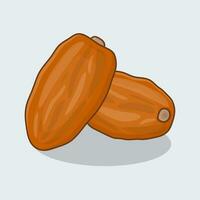 Dates Fruits Cartoon Vector Illustration. Dates Fruits Food For Iftar In Ramadan Flat Icon Outline