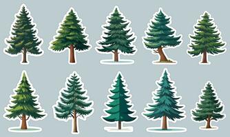 Panoramic pine tree sticker designs, perfect for decorating your laptop or water bottle vector