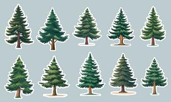 Panoramic pine tree sticker designs, perfect for decorating your laptop or water bottle vector