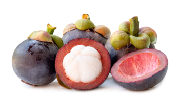 Delicious fresh mangosteens in stack isolated with clipping path and shadow in png file format