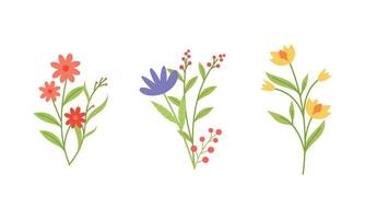 Organic flat spring flower collection vector