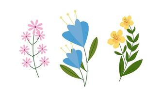 Organic flat spring flower collection vector