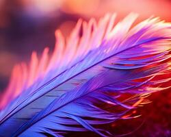 Close-up of a Soft and Light Feather Abstract Texture Background with a Feather and Vibrant Colors AI Generative photo