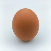 Brown Chicken Egg Standing Position Isolated On White Background photo