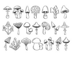 Simple vector doodle. Sketch drawing of forest mushroom. Easy to change color.