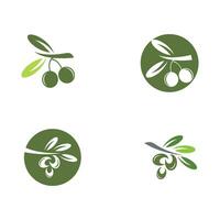 olive icon vector illustration