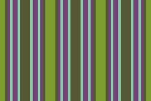 Pattern seamless fabric of texture background lines with a vertical textile stripe vector. vector
