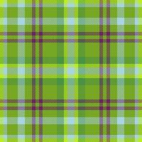 Texture background pattern of fabric check textile with a seamless vector plaid tartan.