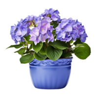 ai généré hortensias dans des pots fleurs bleu violet rose blanc transparent Contexte png