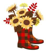 Checkered rubber boots with an autumn bouquet of sunflowers. Illustrated vector element.