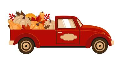 A red truck is transporting a pumpkin harvest in the trunk. vector