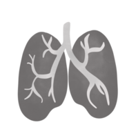 lungs smoking air png