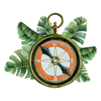 årgång ficka kompass med tropisk handflatan löv vattenfärg illustration. nautisk hand dragen navigering instrument illustration png