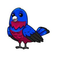 Cute banded cotinga bird cartoon vector