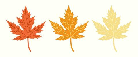 Maple leaves clip art elements on isolated background. Hand drawn background for Autumn harvest holiday, Thanksgiving, Halloween, seasonal, textile, scrapbooking. vector