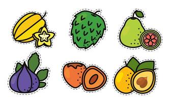 Set of colored fruit icons Vector