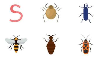 conjunto de diferente de colores insecto íconos vector