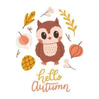Hello autumn postcard with owl. Woodland card with leaves and cute forest animal on white background. Vector illustration