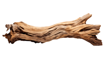 Dry wood isolated on transparent background. Tree wood png ai generated