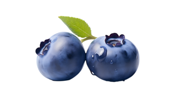Blueberry with leaf branch isolated on transparent background ai generated png