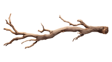 Dry wood branch isolated on transparent background aI generated png