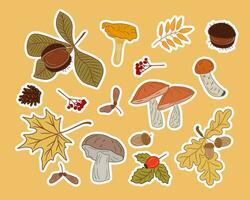 Set of autumn mushroom and leaves stickers. Vector hand drawn isolated colored elements with white outline. Leaves, seeds and wild fungus. Suitable for stickers, pattern, wrapping paper