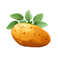 Fresh Potato Drawing, Cartoon Illustration, ai generated png