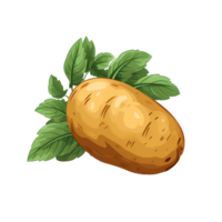 Delightful Hand Drawn Raw Potato Cartoon, Artistic Freshness, ai generated png