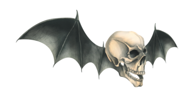 Side view human skull with black bat wings for death day holiday and halloween. Watercolor illustration, hand drawn. Isolated composition png