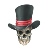 en mänsklig skalle i en svart topp hatt med en röd band. hand dragen vattenfärg illustration för dag av de död, halloween, dia de los muertos. isolerat objekt png
