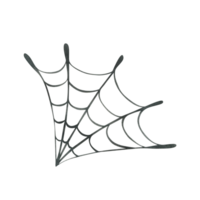zwart ronde spinneweb kwartaal. hand- getrokken waterverf illustratie voor dag van de dood, halloween, dia de los muertos. geïsoleerd voorwerp png