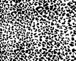 Leopard print pattern animal seamless black spots on a white background classic design. vector