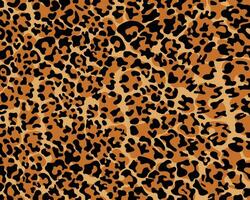 Leopard print pattern seamless background and printing or home decorate and more. vector