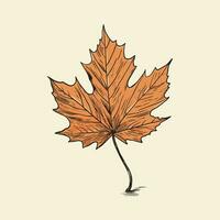 Autumn leaf vector illustration. Realistic hand drawing single simple leaf, floral time