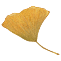 Autumn season Art png