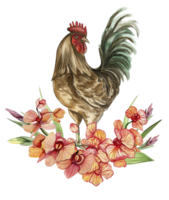 Watercolor flowers and rooster composition. png