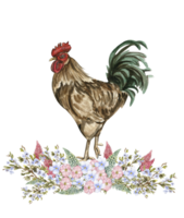 Watercolor flowers and rooster composition. png