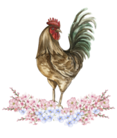 Watercolor flowers and rooster composition. png