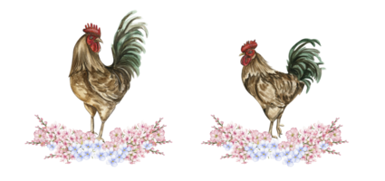 Watercolor flowers and rooster composition. png