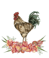 Watercolor flowers and rooster composition. png