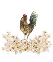 Watercolor flowers and rooster composition. png