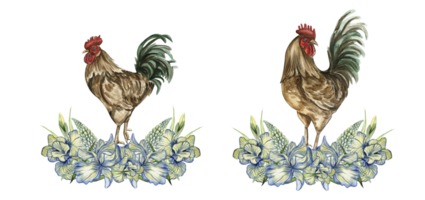 Watercolor flowers and rooster composition. png