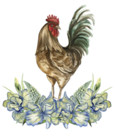 Watercolor flowers and rooster composition. png