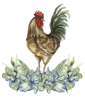 acuarela flores y gallo composición. png