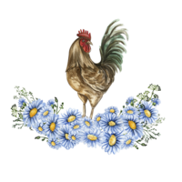 acuarela flores y gallo composición. png