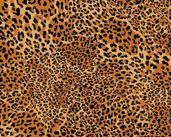 Leopard print pattern seamless background and printing or home decorate and more. vector